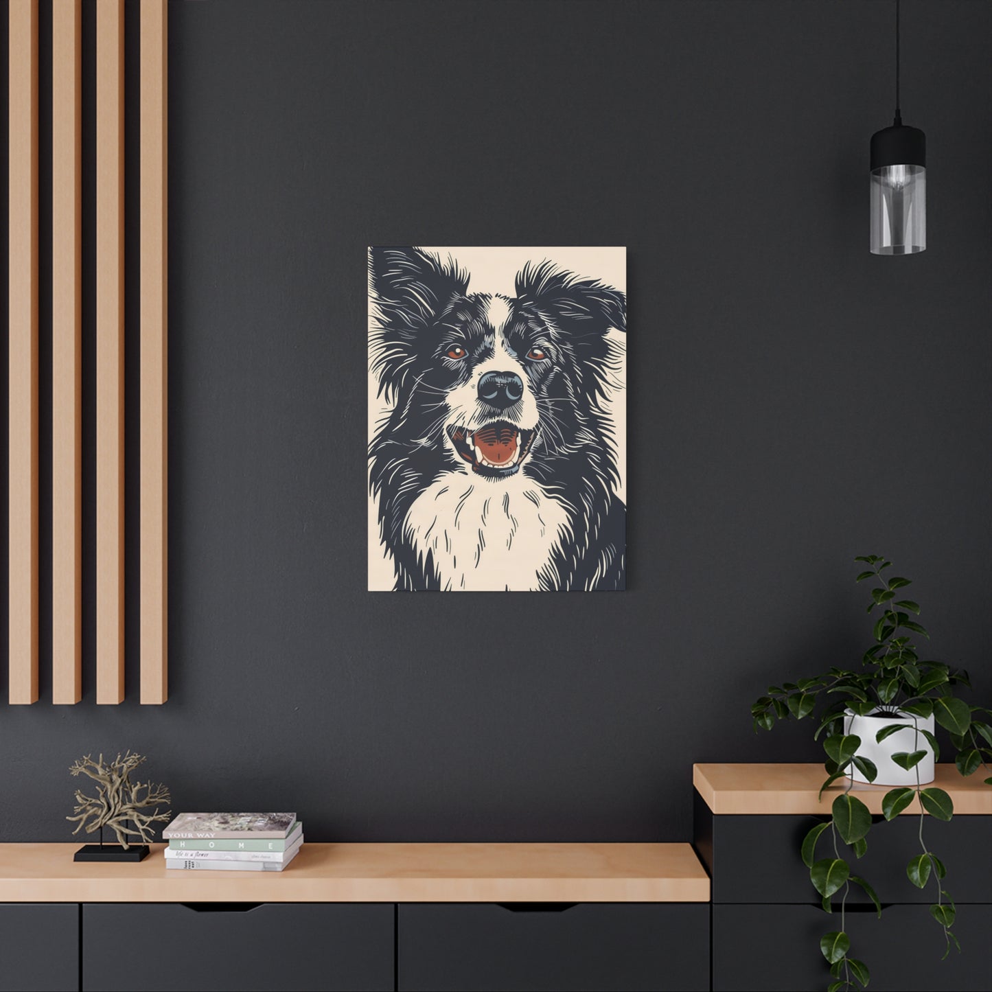 Gaze of a Border Collie